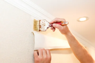 Pose de papier peint à Palau-del-Vidre — revêtements muraux et toiles de verre